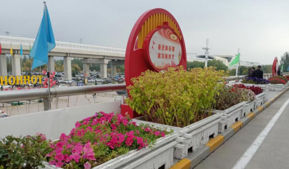 机场航站楼市内花卉摆放及景观装饰