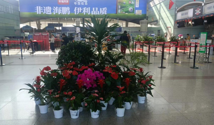 呼和浩特机场节日景观装饰